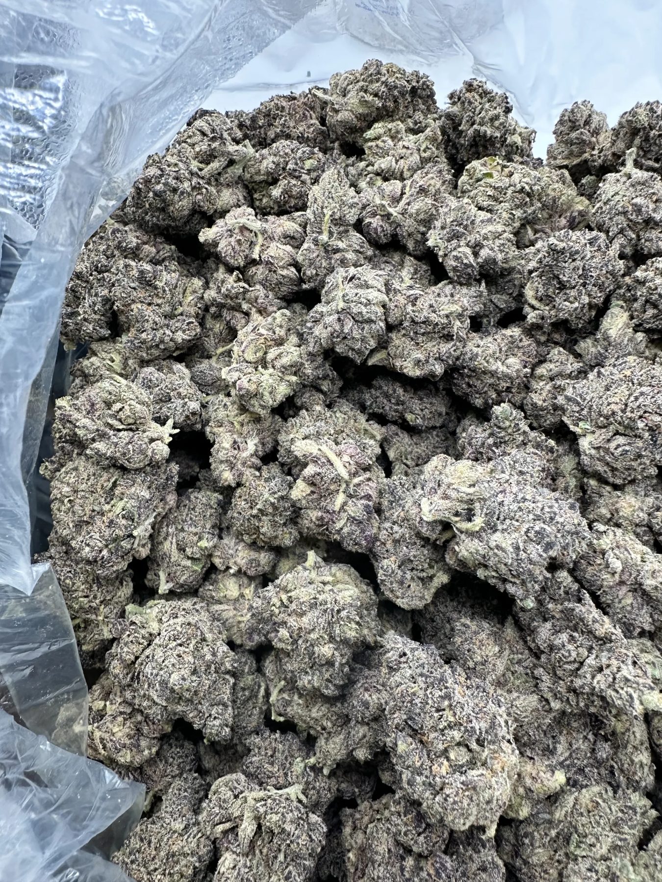 Mermaid Tears with refined calyx structure and crystalline trichome frost