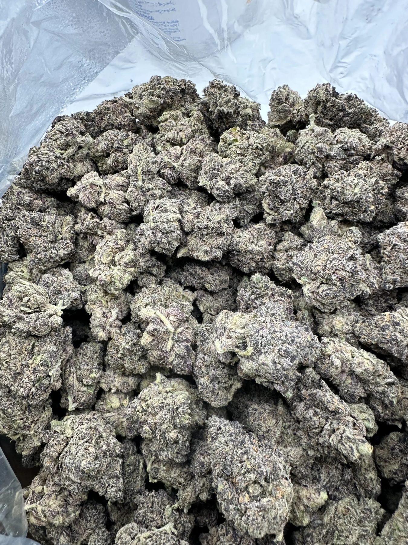 Mermaid Tears – macro detail of trichome-rich buds with premium silver-white frost coating