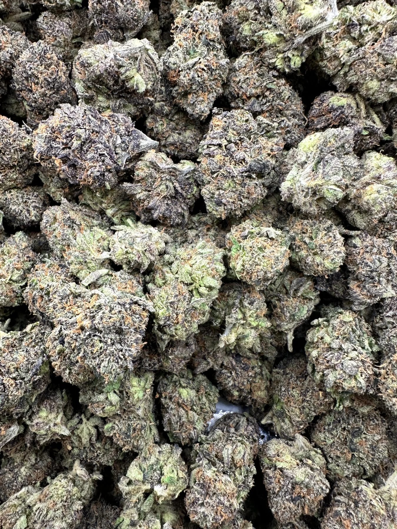 Rainbow Gruntz macro showing crystalline trichome density, deep green-purple coloration, and refined structure