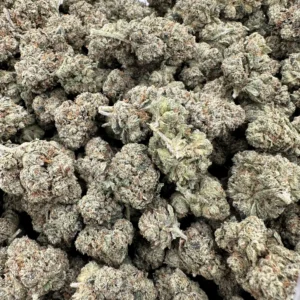 Skywalker OG top-shelf flower with premium trichome frost, refined calyx structure, and vibrant orange pistil detail