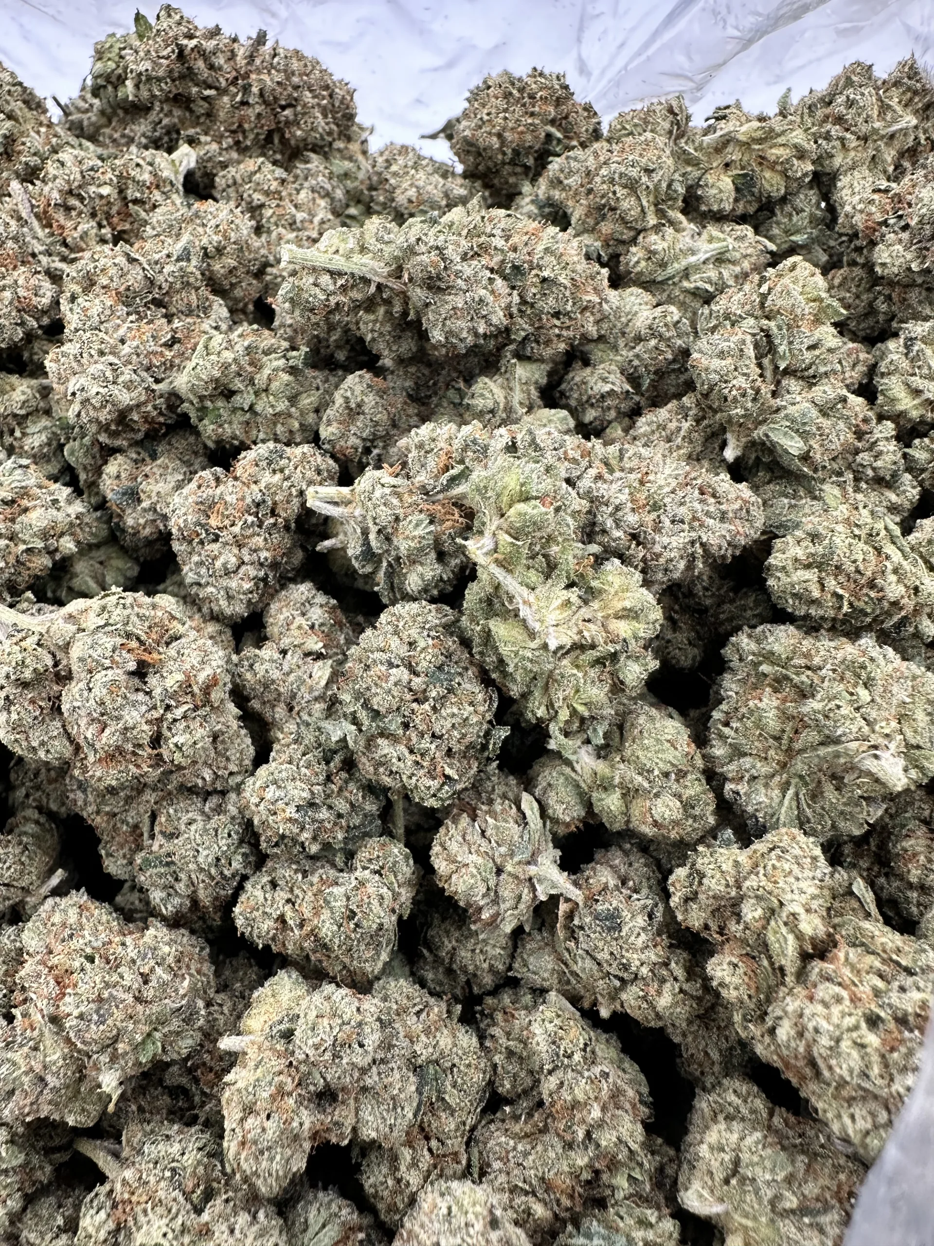 Skywalker OG top-shelf flower with premium trichome frost, refined calyx structure, and vibrant orange pistil detail
