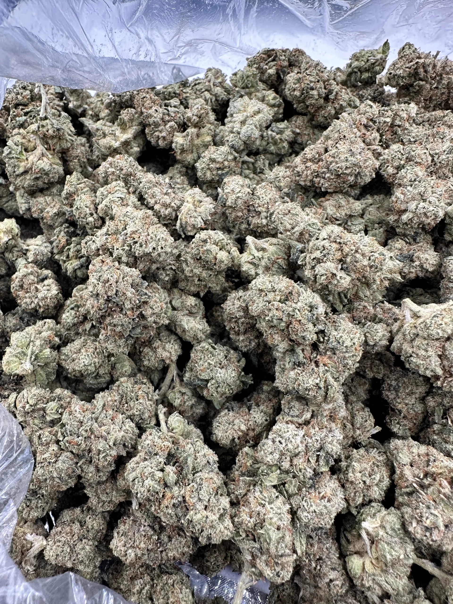 Skywalker OG with refined dense structure, crystalline trichome frosting, and pale green calyx detail