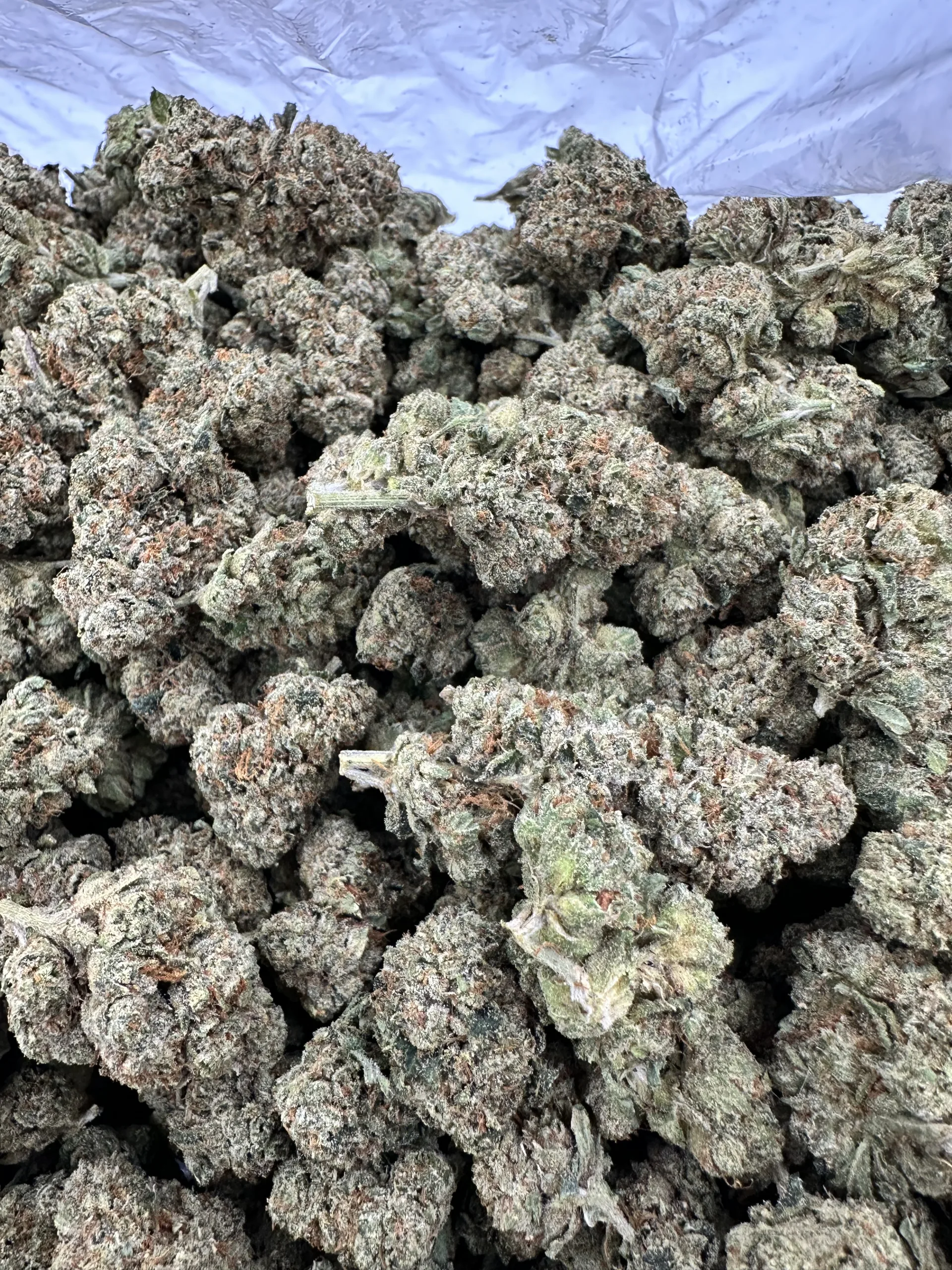 Skywalker OG with refined dense buds and premium trichome frost