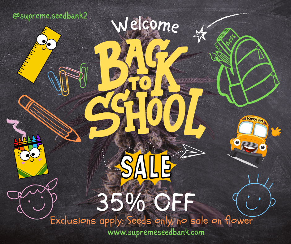 Back To School (2)