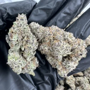 Aloha Sugar top-shelf flower – two premium buds with refined trichome-rich structure and dense calyx