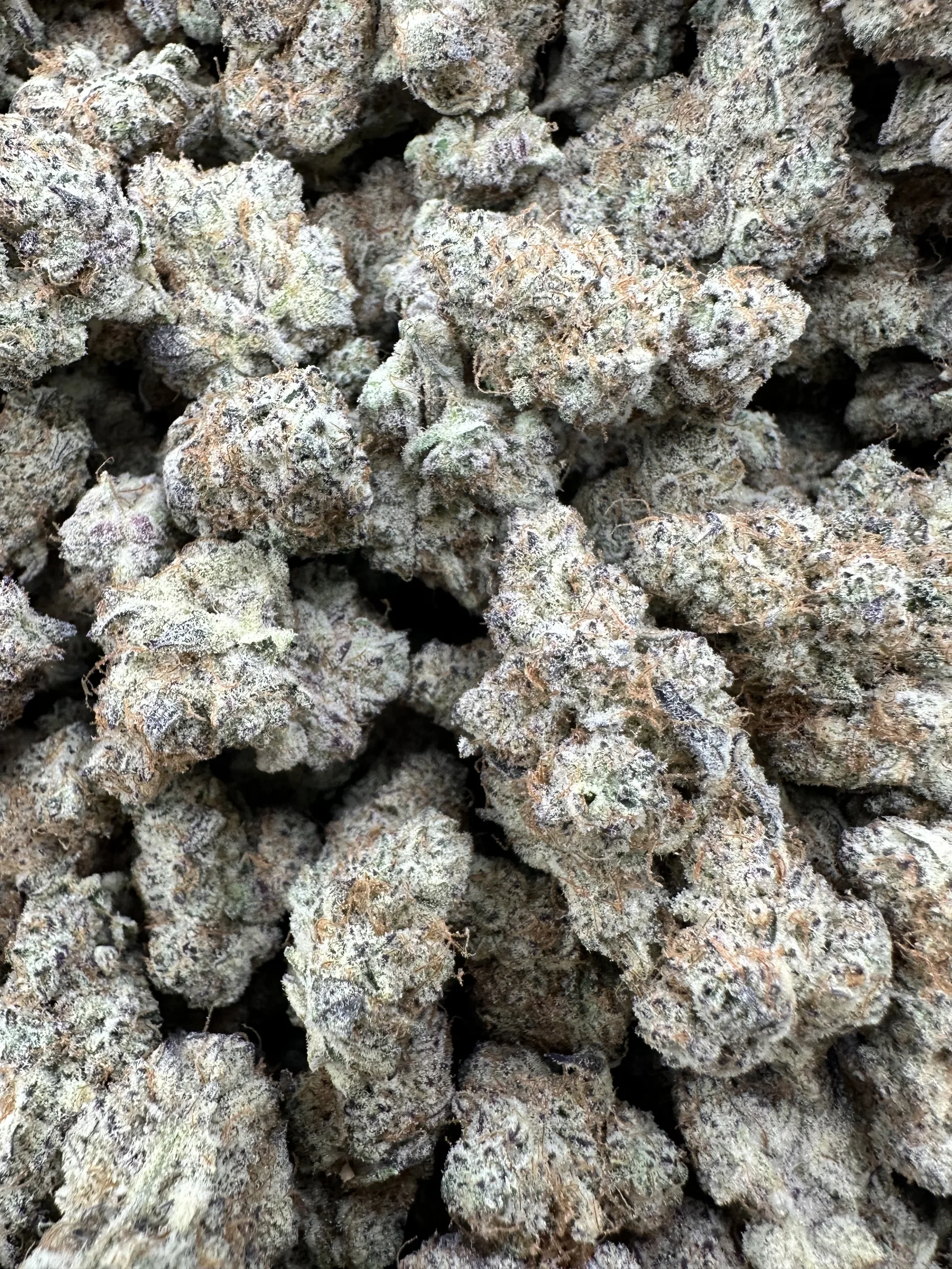 Aloha Sugar top-shelf flower macro showing curated dense buds with refined silvery-white frost and warm tan-brown flower undertones