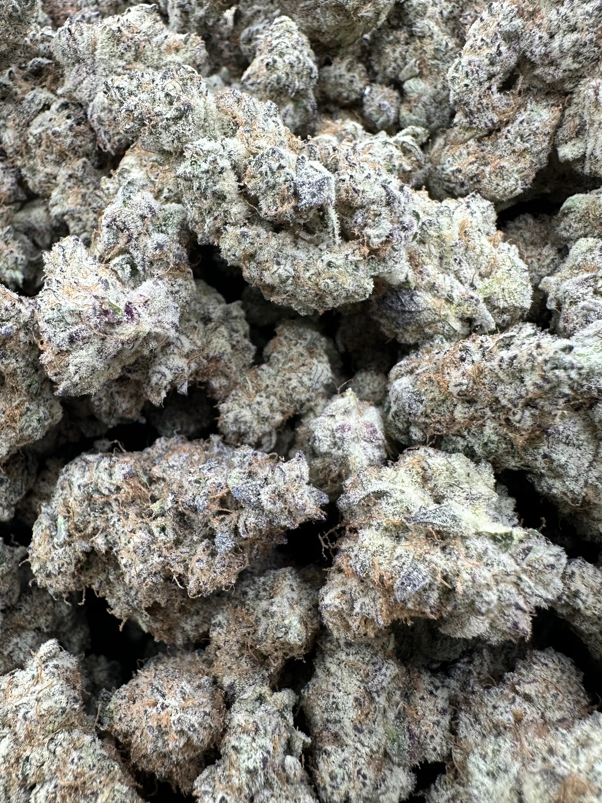 Aloha Sugar with refined white trichome frost and dense crystalline resin throughout buds
