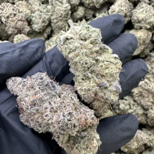 Blueberry indica top-shelf flower macro displaying refined frosty trichome coverage and hand-selected dense bud structure
