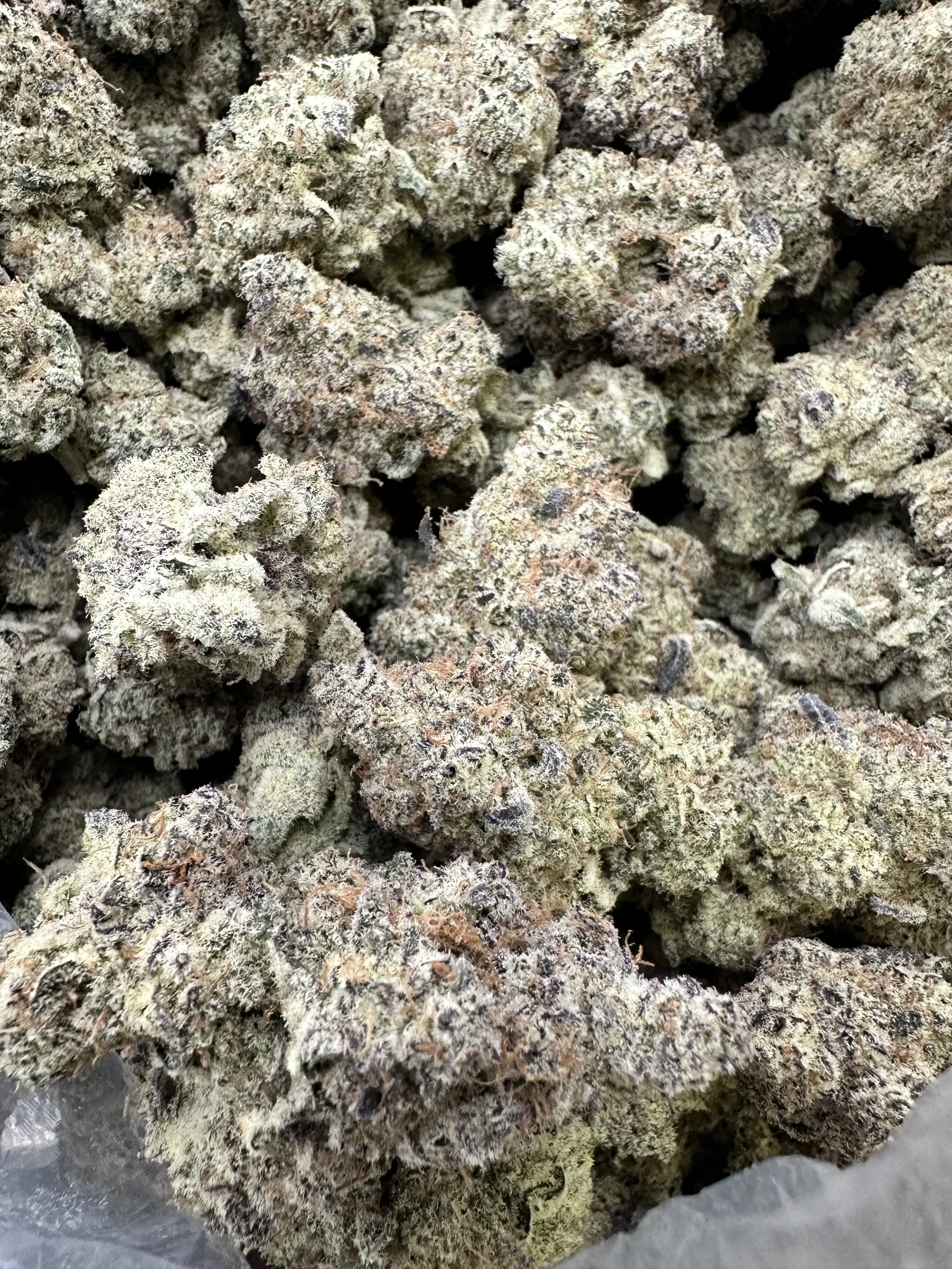 blueberry close-up showing refined dense buds with crystalline trichome saturation and pale green coloration