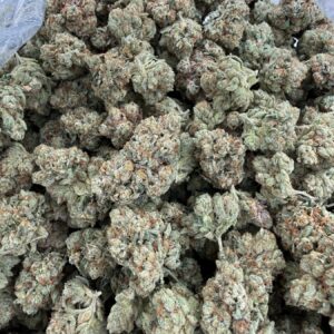 Kosher Kush top-shelf flower showing refined trichome structure, dense calyx, and vibrant orange pistils