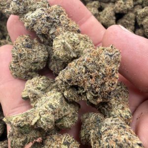 Sour Lifesaver top-shelf flower macro revealing dense buds with refined trichome coverage and tight calyx structure