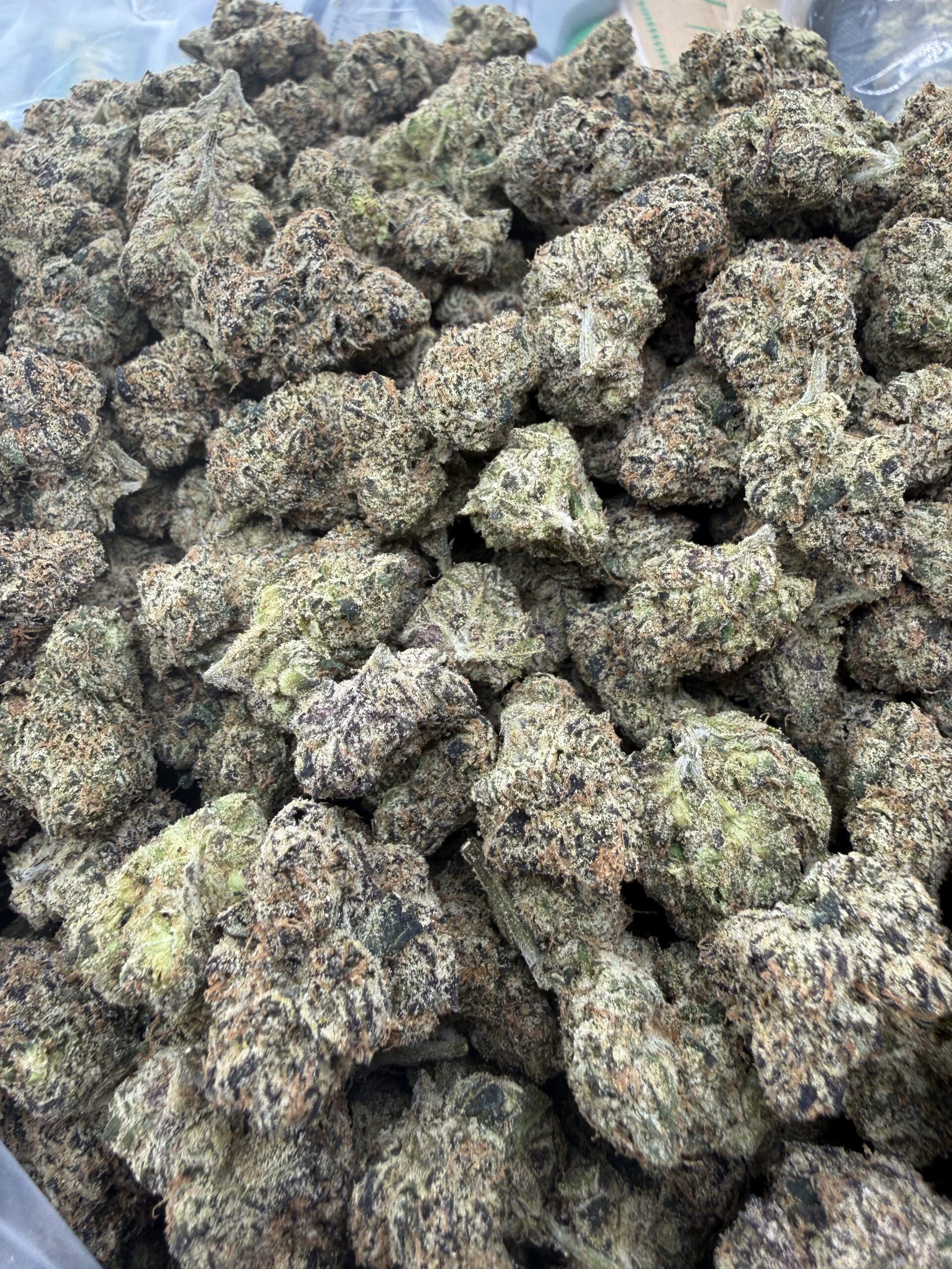 Sour Lifesaver top-shelf indica flower macro with refined trichome density and compact calyx structure