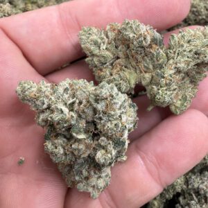 South Florida OG flower – premium, hand-selected buds with dense trichome frost and orange pistils