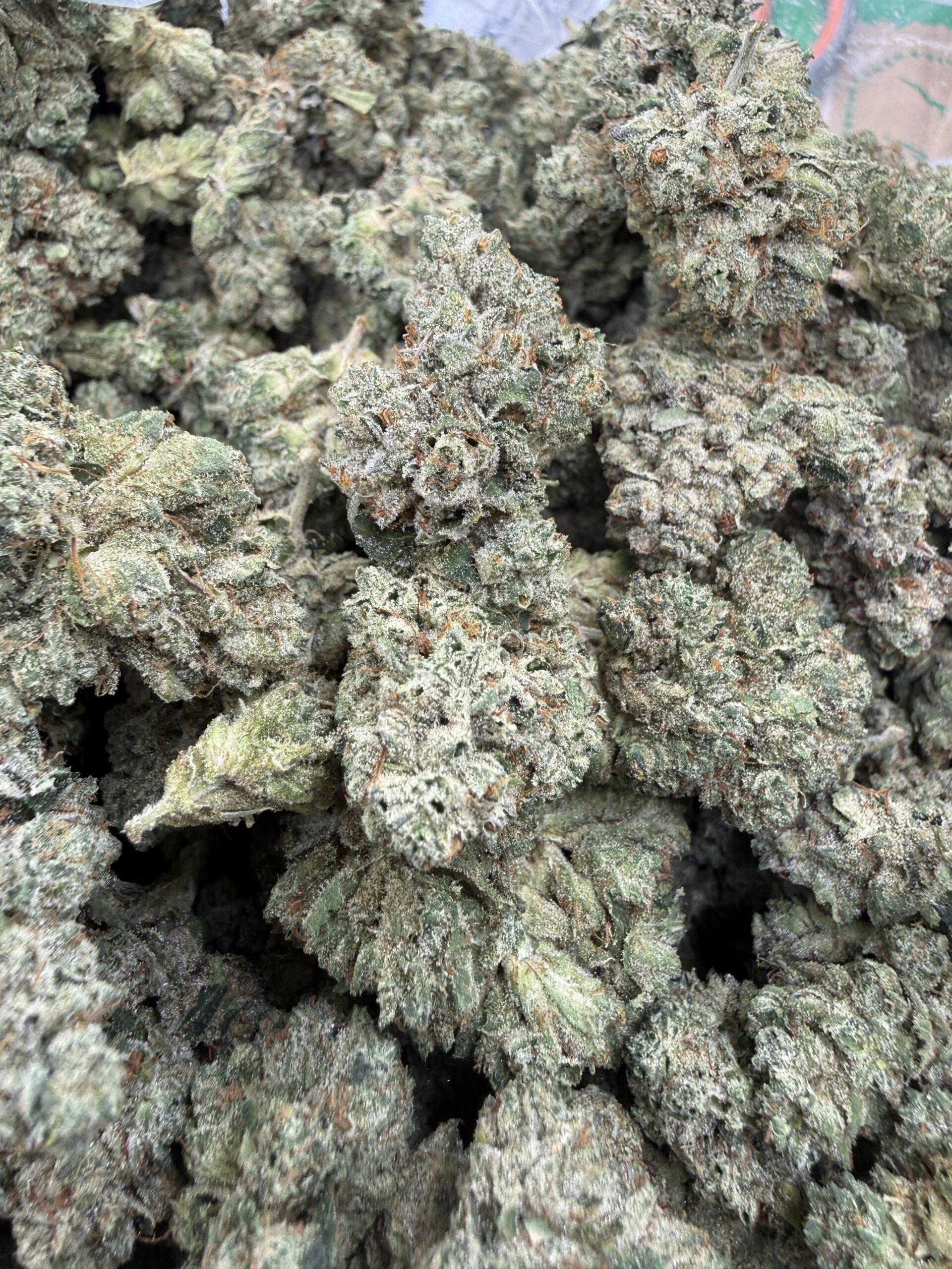 South Florida OG macro displaying heavily frosted buds with dense white trichome coating and refined crystalline structure