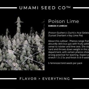 Poison lime Zabuza x Limecai 4.jpg