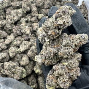 Black Gummiez top-shelf flower macro displaying dense trichome-frosted bud with refined calyx detail