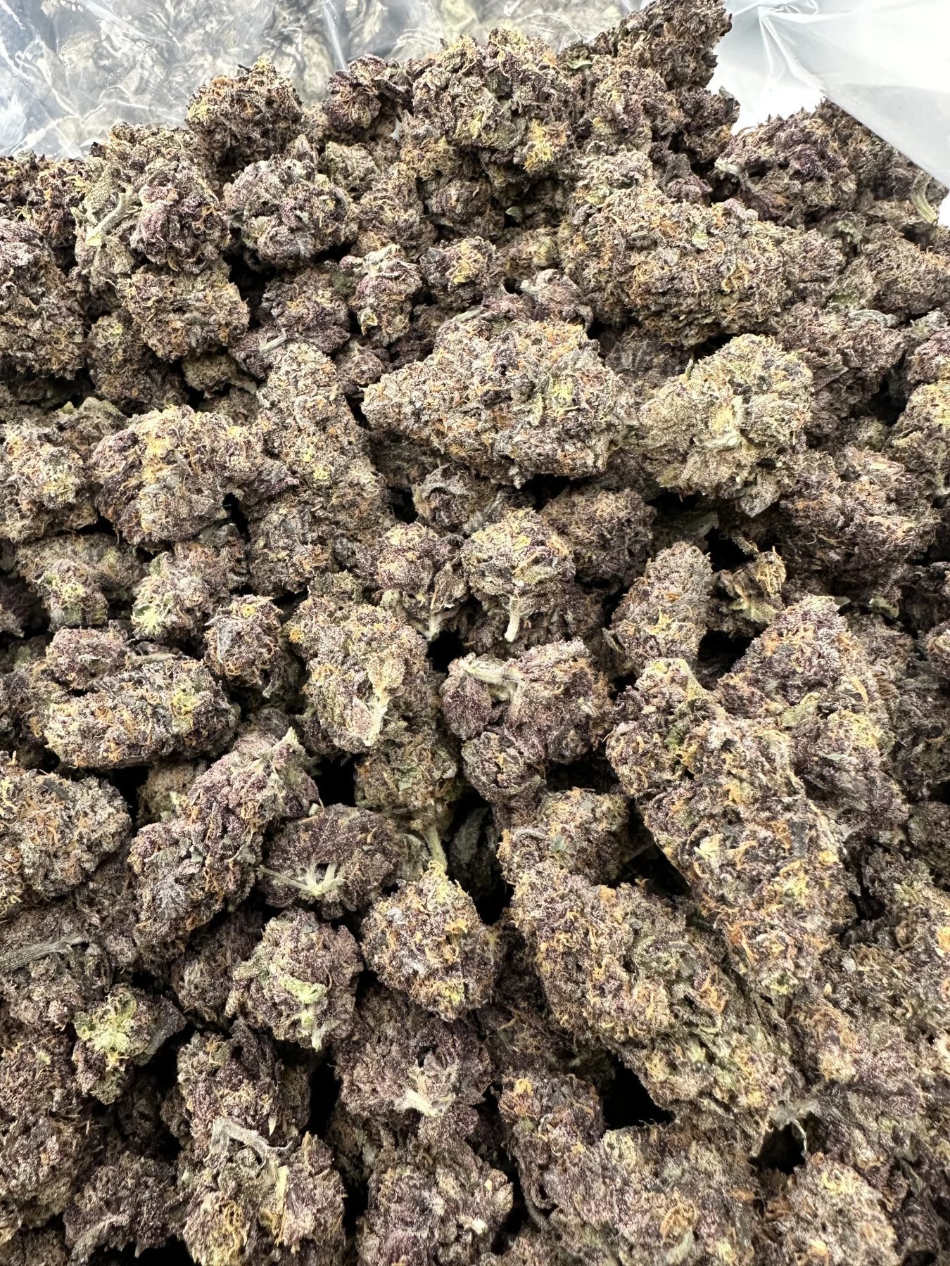 Dippin Dot top-shelf flower with premium trichome frosting, dense bud structure, and cream-purple coloring throughout