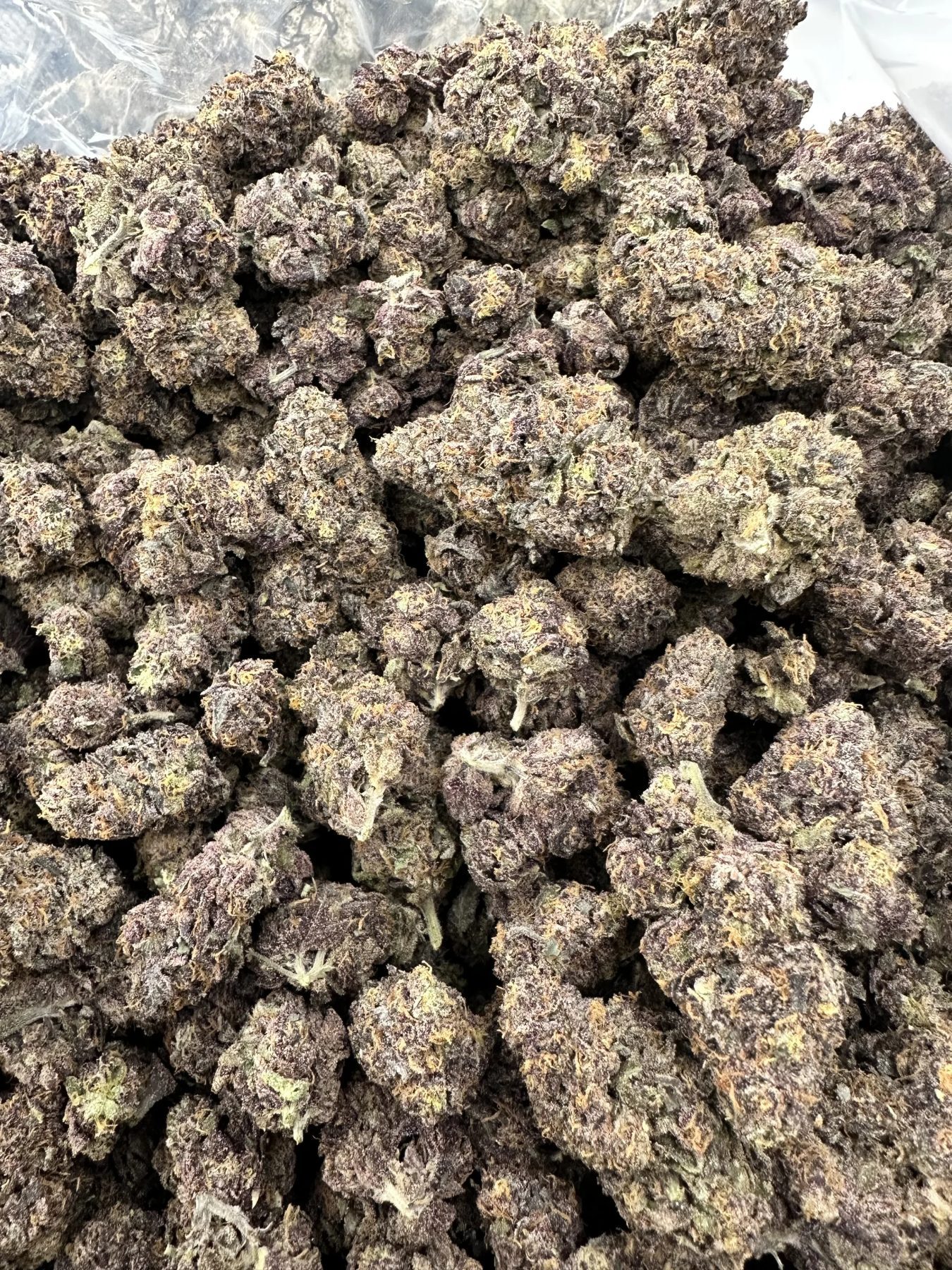 Dippin Dot top-shelf indoor flower macro showing frosted trichomes, refined calyx density, and premium terpene-rich structure