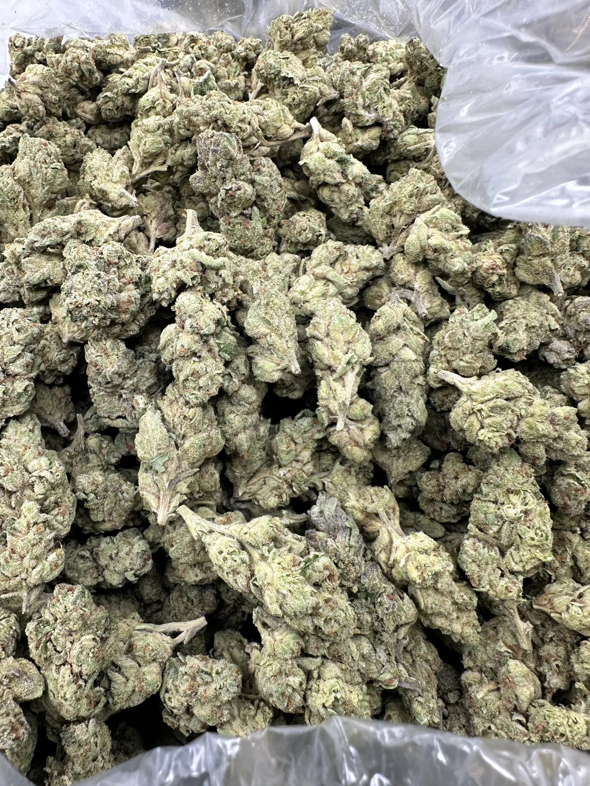 E-85 showing hand-selected frosted buds with dense trichome coverage and orange pistils