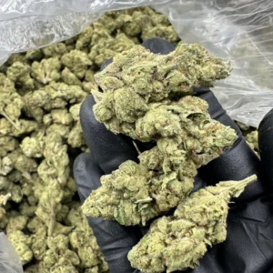 E-85 top-shelf hybrid flower macro: hand-held dense buds with chartreuse-green refined structure, thick amber trichome frost, and premium compact calyx detail