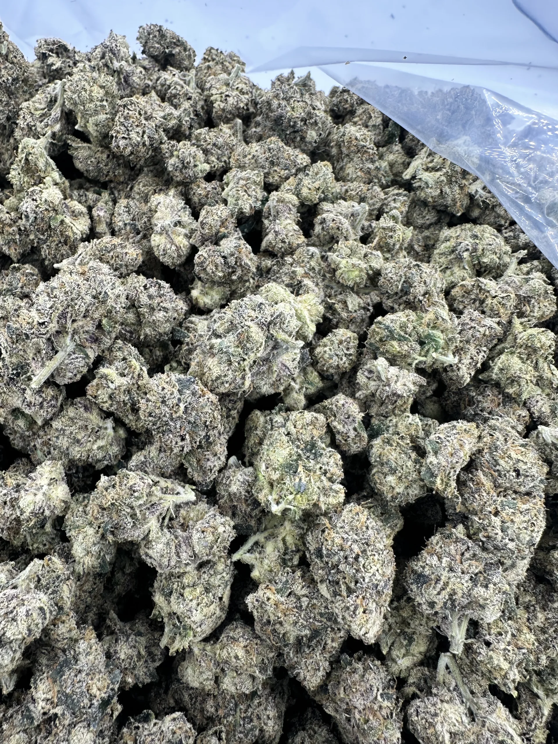 Fantasy Fritter with refined crystal structure and dense trichome coverage