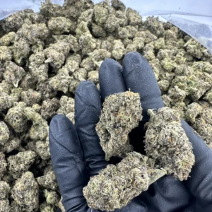 Fantasy Fritter top-shelf flower: hand-held premium buds with refined trichome frost and dense structure displayed against curated bulk pile