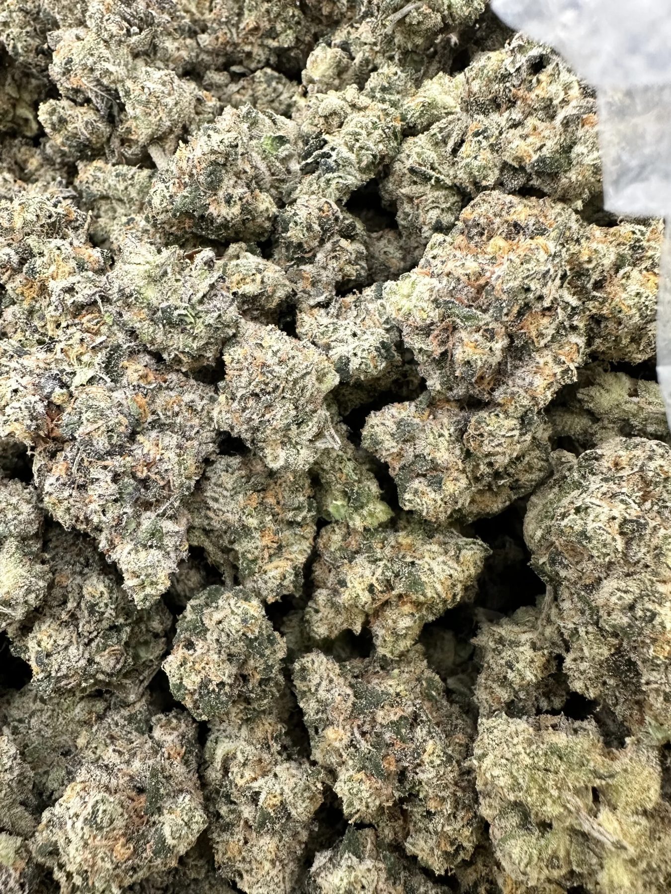 Gas Face top-shelf flower macro displaying curated frosted trichome richness and refined dense calyx structure