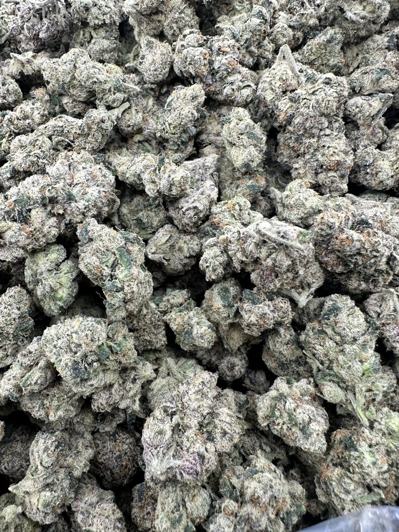 LA Poprocks buds with refined white crystalline trichome frosting and dense, hand-trimmed structure