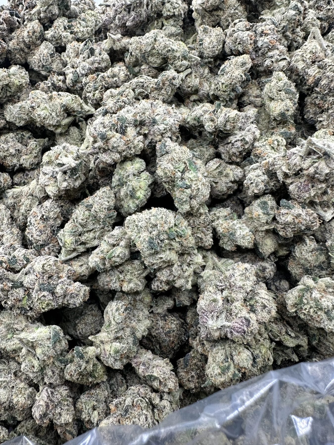 LA Poprocks top-shelf flower detail displaying refined trichome density and hand-trimmed bud structure with grey-green coloration