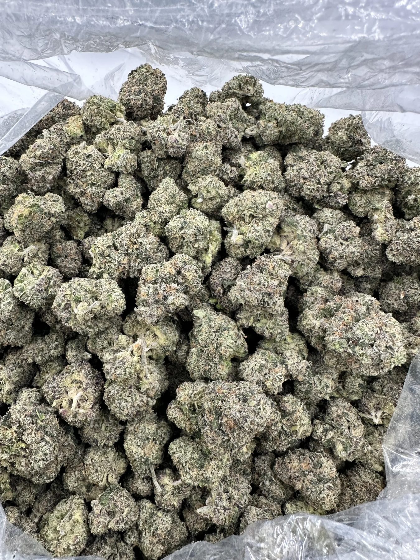 M.O.B. strain top-shelf indoor flower with refined trichome coverage and dense bud structure
