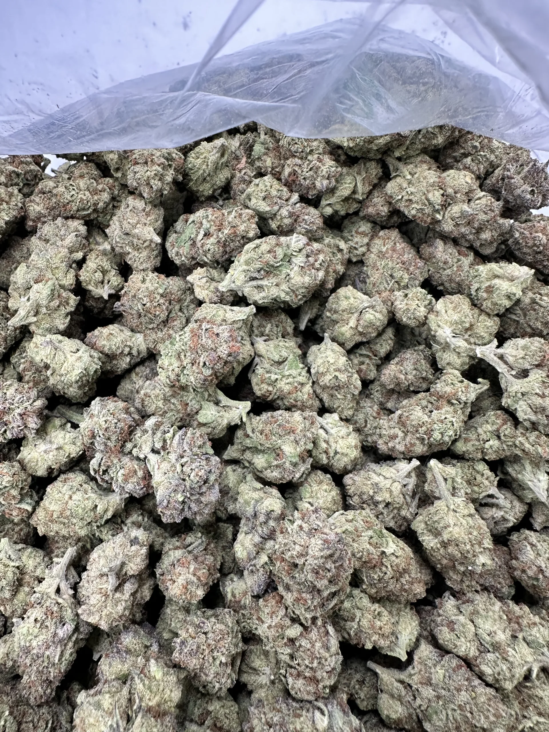 Oreoz with refined trichome coating and hand-selected bud structure