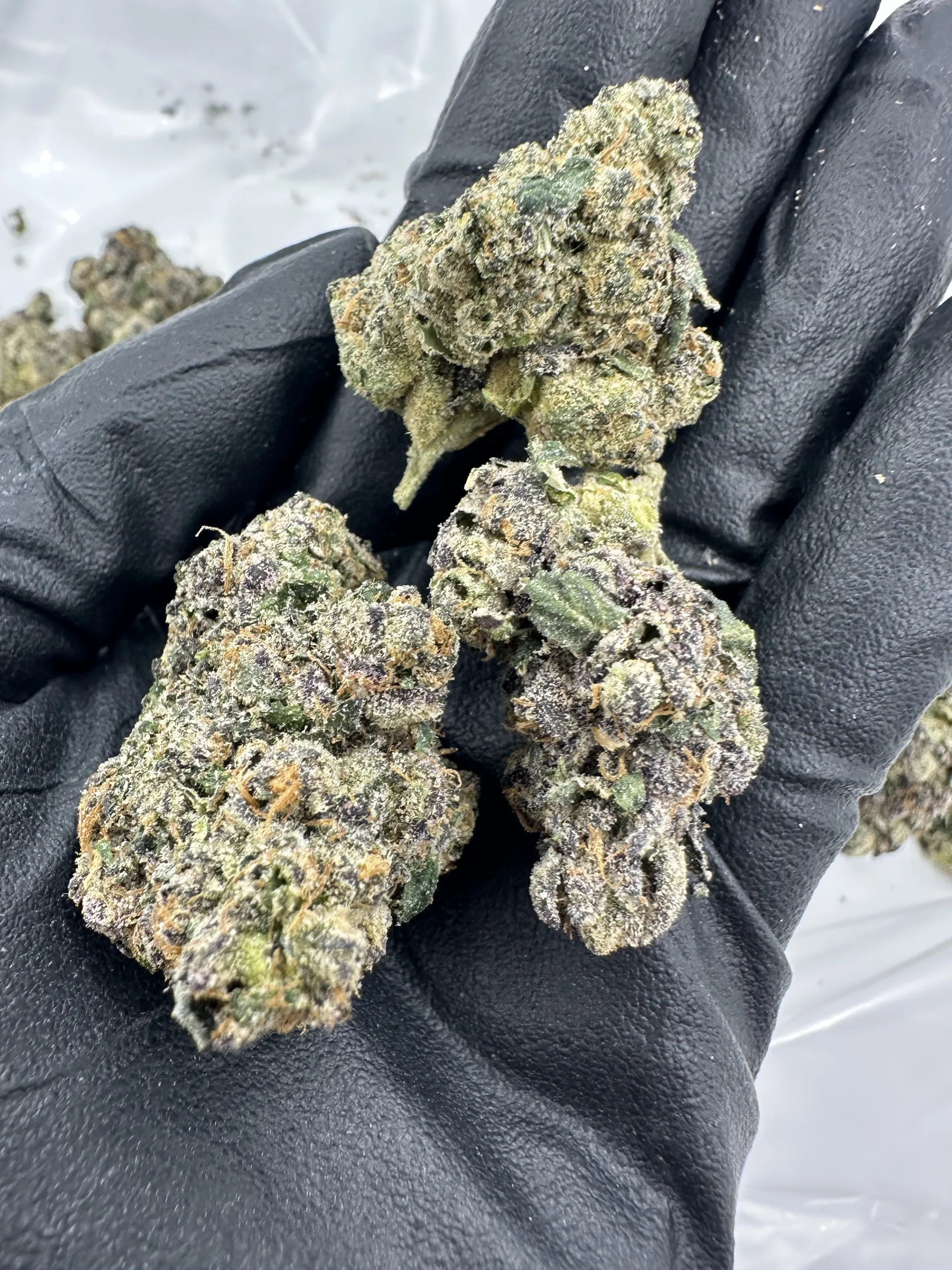 Stuntz macro – three dense buds with refined trichome frost and pale green calyx formation