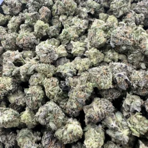 Super Platinum Cookies flower smalls: refined trichome-rich hybrid with white crystal coating, orange pistil highlights, and dense calyx layering