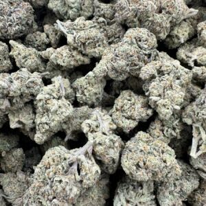 Bangkok Purple top-shelf flower with refined trichome frosting, hand-selected bud density, and terpene-rich calyx structure