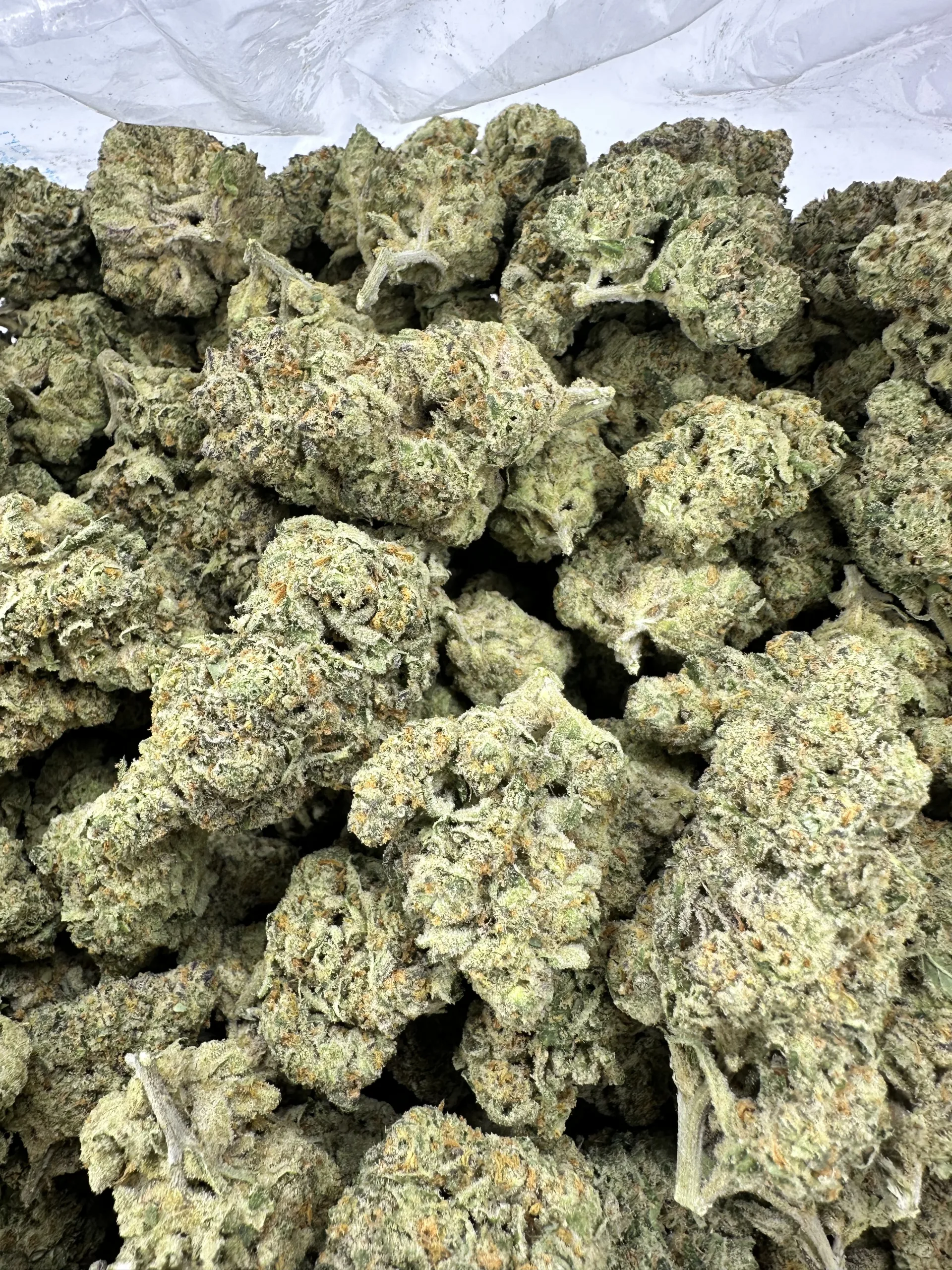 BANGKOK PURPLE with refined trichome frost and curated bud density