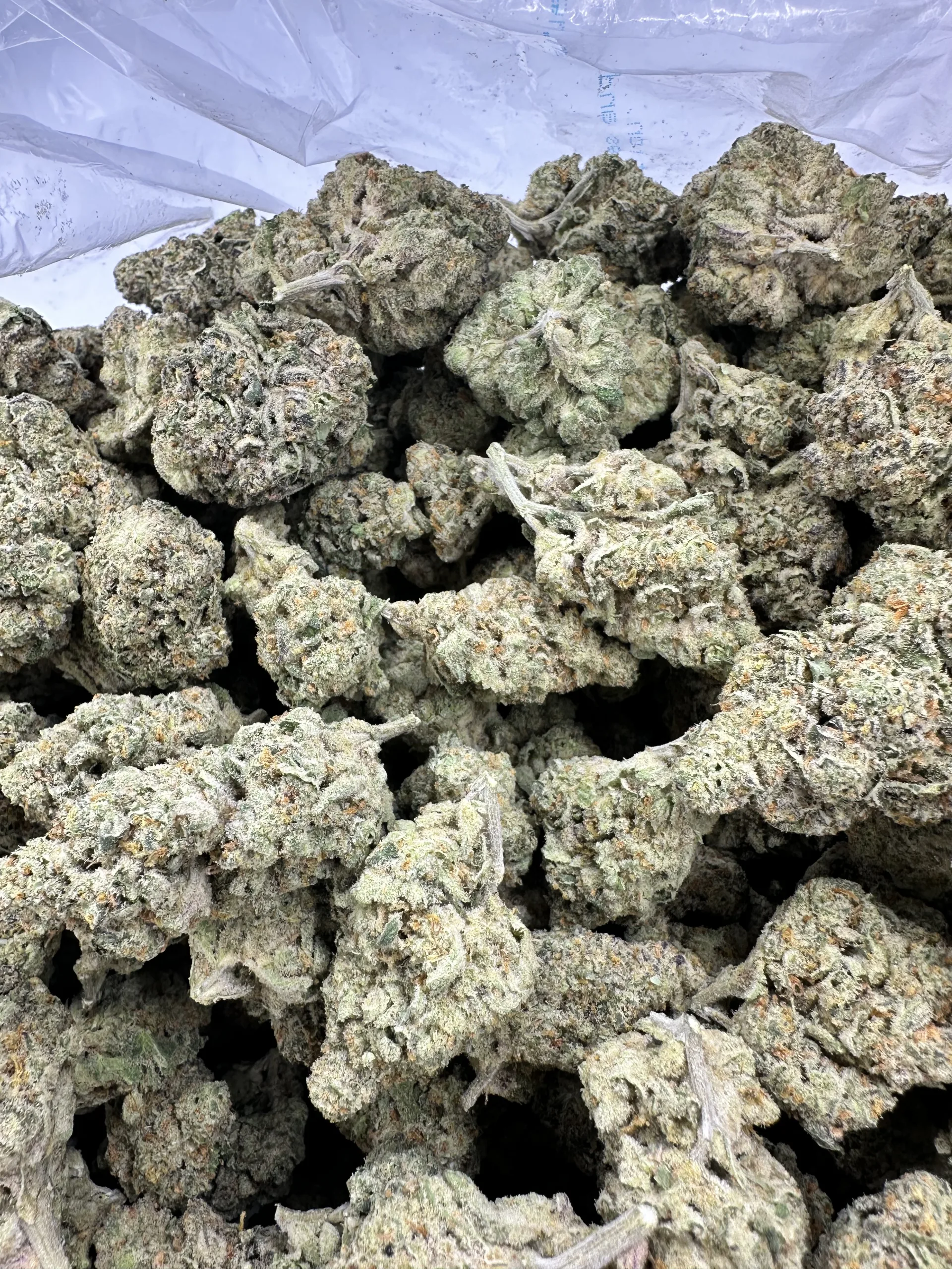BANGKOK PURPLE macro—hand-selected buds with refined calyx structure and premium trichome frosting