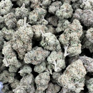 Blue Cheese top-shelf flower displaying refined calyx density, frosted trichome coverage, and cream-sage bud coloration
