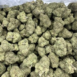 Blue Runtz top-shelf flower macro displaying refined sage-green buds with curated trichome coverage and premium calyx structure