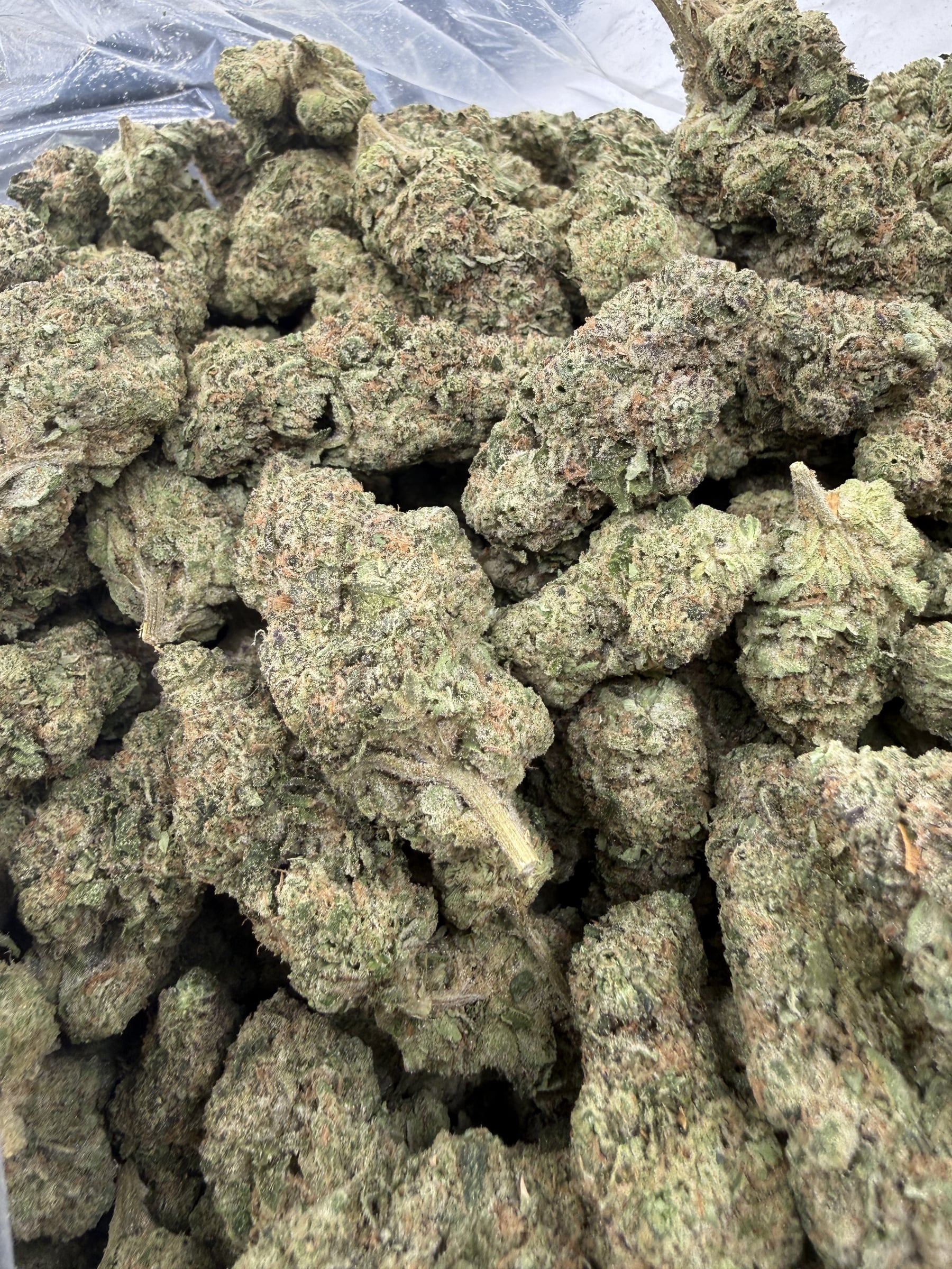 Donny Burger macro showing refined trichome coverage and dense calyx stacking