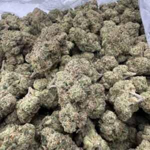 Hood Candyz top-shelf flower with heavy trichome frost and refined calyx structure, light green buds densely packed with amber-hued crystal