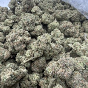 Lemon Cherry Gelato flower—top-shelf frosted nugs with dense calyx structure and orange pistil detail, premium hand-selected cultivar