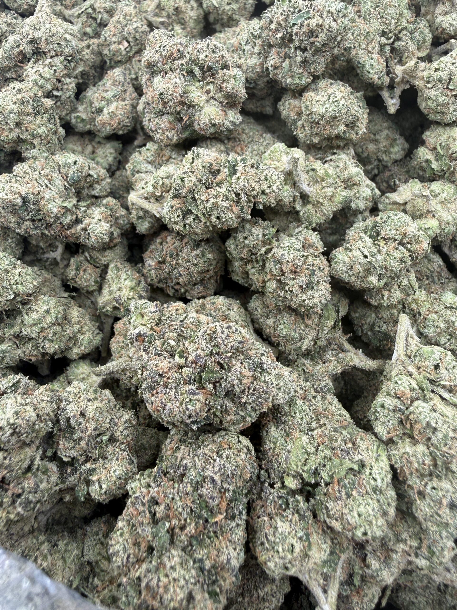 Premium Lemon Cherry Gelato macro displaying thick crystalline trichome coating and refined calyx structure