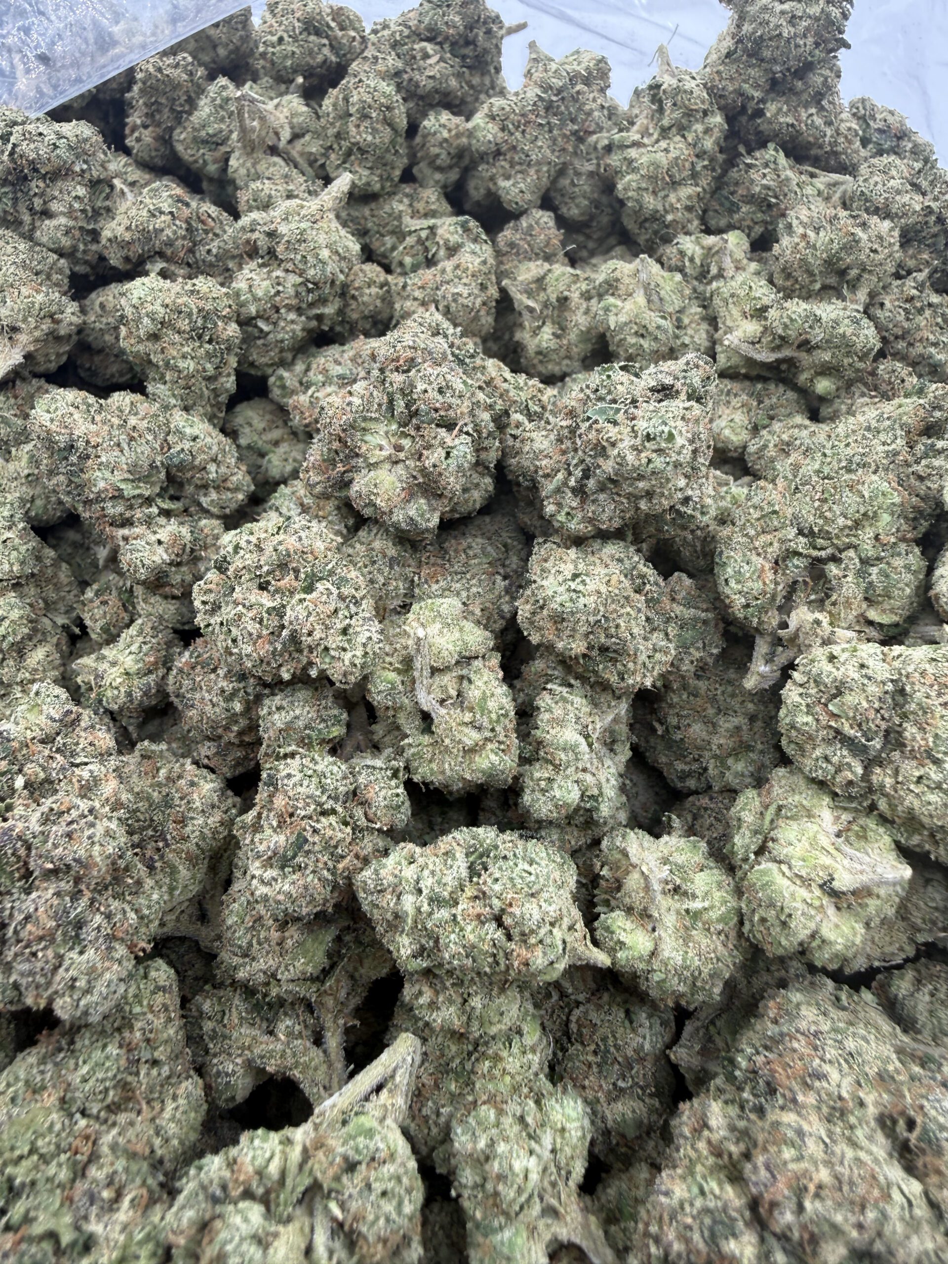 Premium Lemon Cherry Gelato hand-selected cut with crystalline trichome coating and refined calyx density