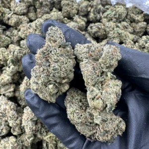 Pink Lemonade top-shelf flower macro showing hand-selected buds with refined trichome coverage and dense structure